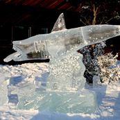 RUD_1-30_ICE _1_1